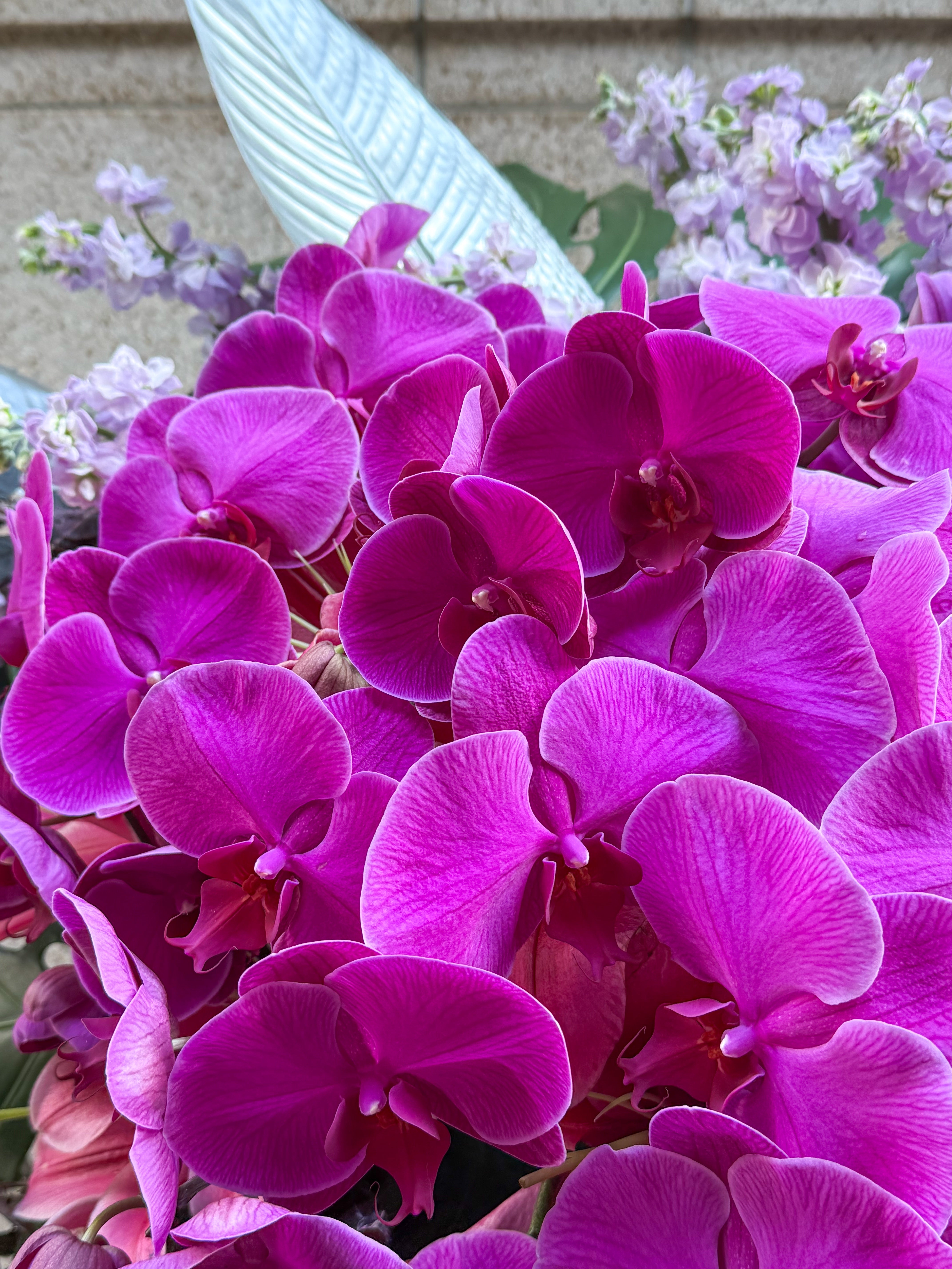 Regalia Blossom Florist