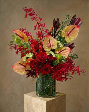 Ruby Anthurium Blossom Florist