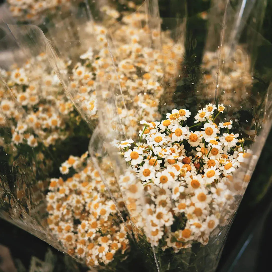 DIY Flower Preservatives Keep Your Blooms Fresh