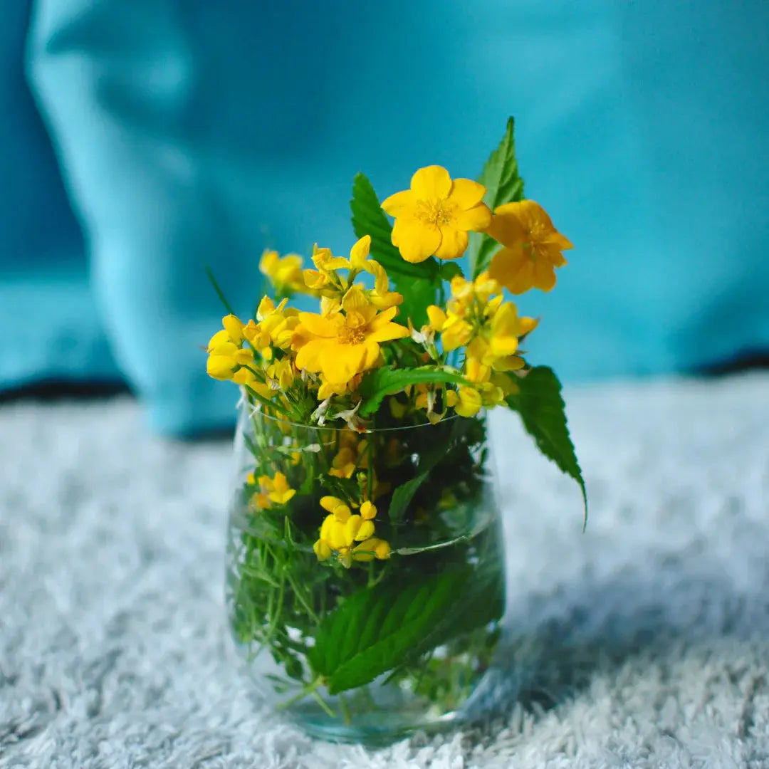 Fresh Flower Care Tips for Longer Lasting Bouquets