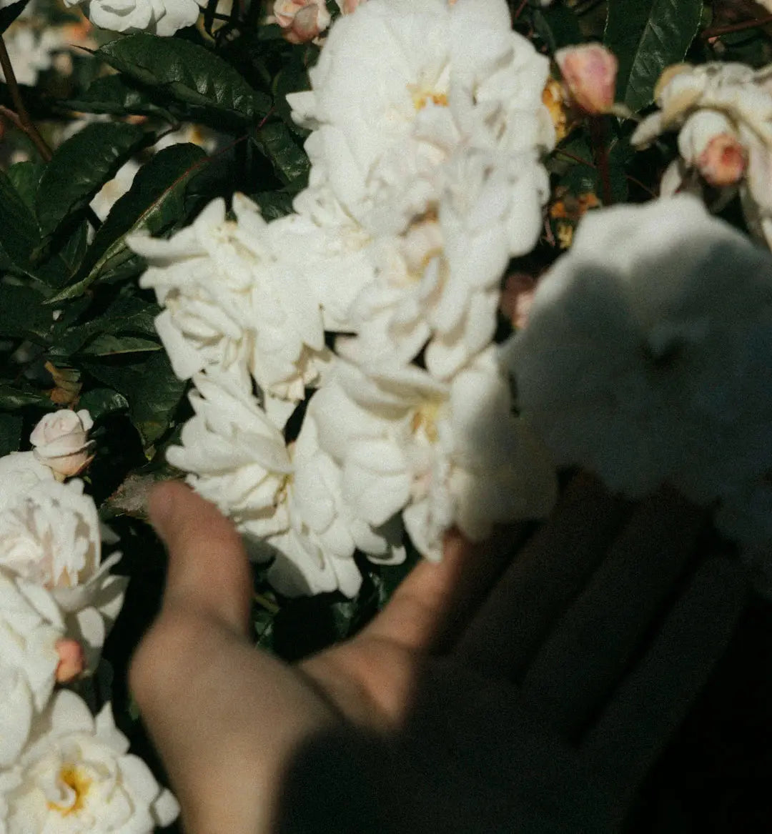 The Impact of Flowers on Mental Well-being