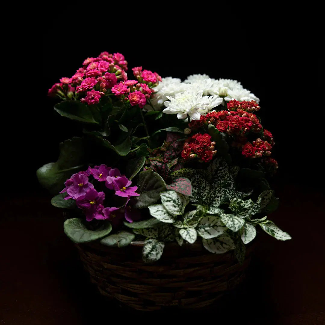 Crafting Floral Care Packs for Delightful Customers