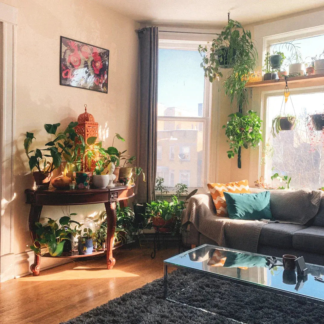 Bringing Nature Indoors Benefits of Houseplants  Flowers