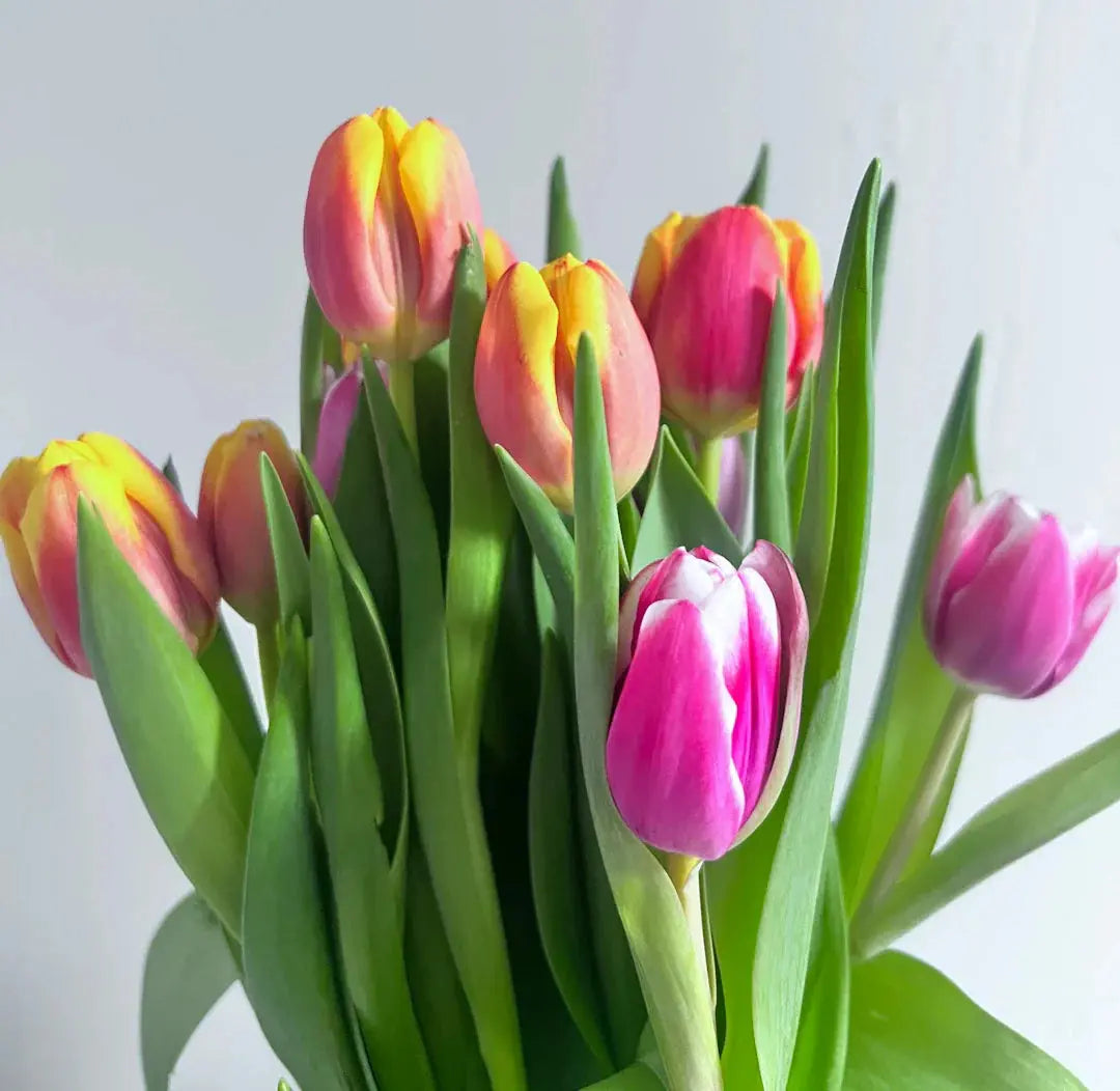 Unravel the Beauty of Floral Arrangements