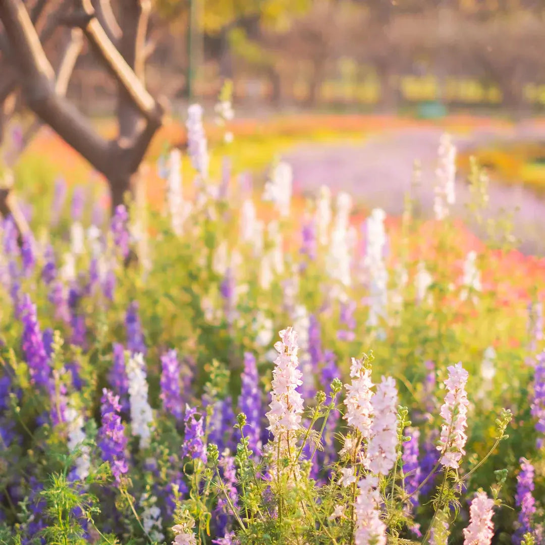 Seasonal Flower Trends A Year-Long Guide