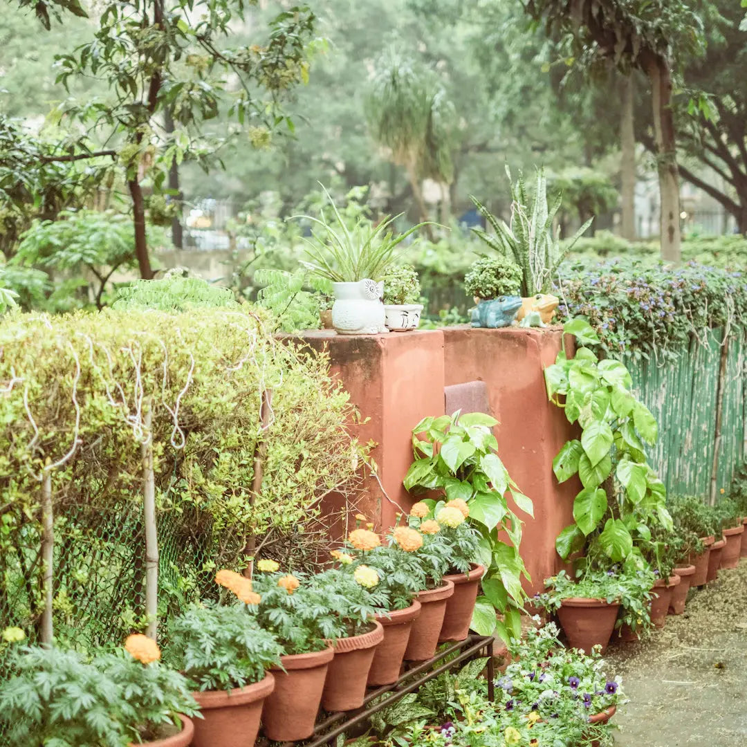Transform Your Space Create a Stunning Flower Garden