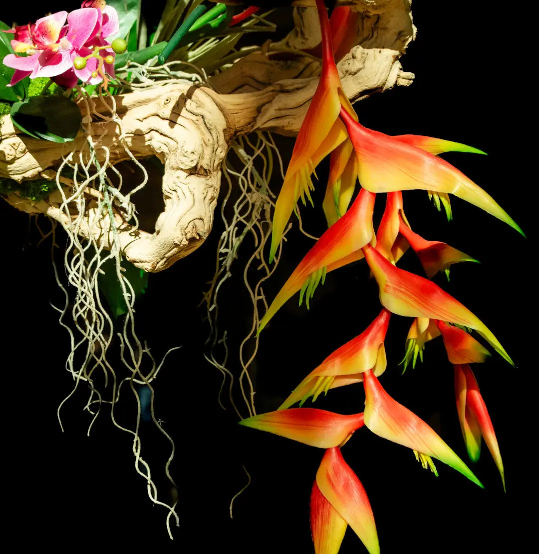 Discover Exotic Flowers from Around the Globe