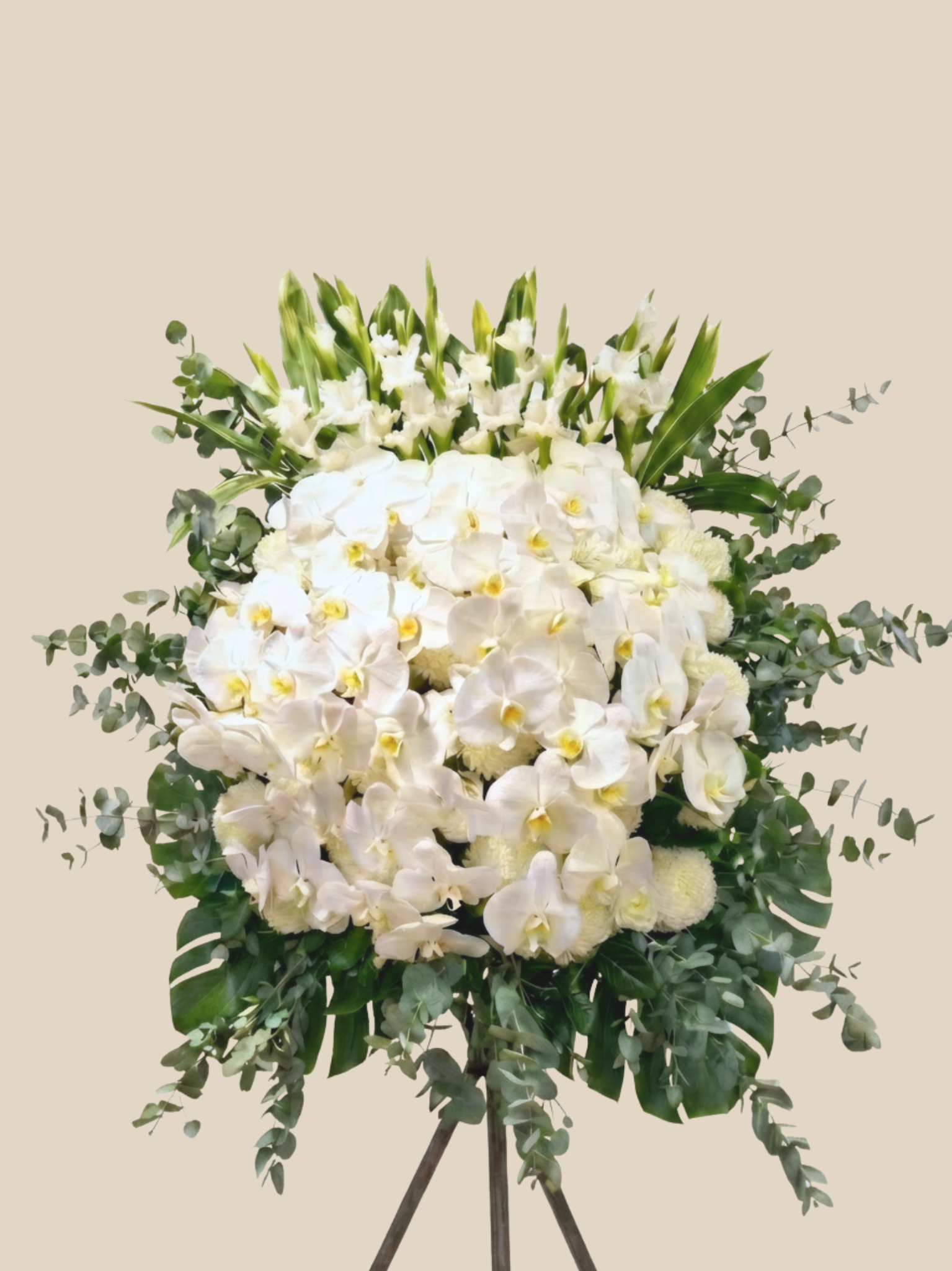 Serene Orchid Blossom Florist