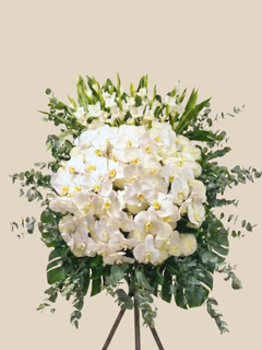 Serene Orchid Blossom Florist