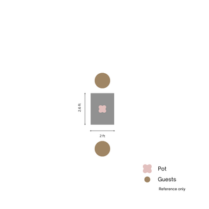 Centerpieces Blossom Florist