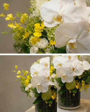 Radiant Orchid Blossom Florist