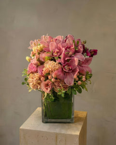 Blush Orchid Blossom Florist