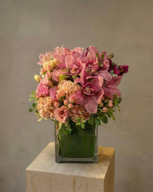 Blush Orchid Blossom Florist