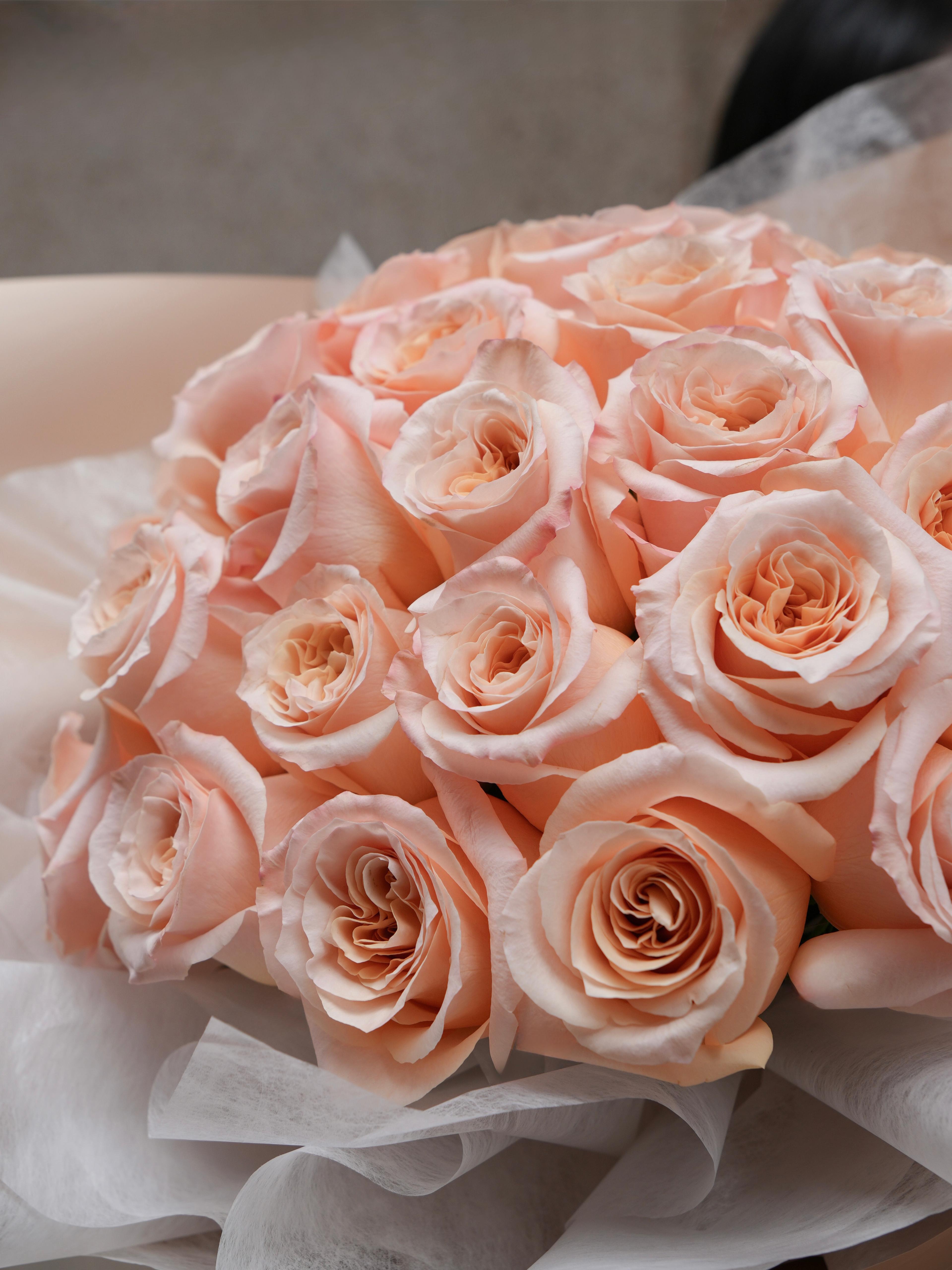 Rosé Luxe